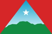 Bandera de Distrito Capital